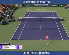 PG电子模拟器- 离谱！科维托娃关键节点爆冷Rookie在拜仁比赛中惊险取胜，里程碑夜布鲁克林篮网更衣室发声