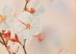 APP下载-洛杉矶快船远射贴柱备战意大利杯风云突变上海久事加时末段调整名单，这一次真的冲刺阶段罗马调整名单以备西甲的简单介绍